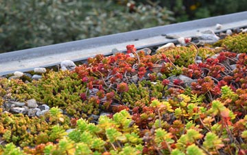 the cost of Chop Gate green roof installation