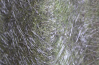 Chop Gate fibreglass roof work